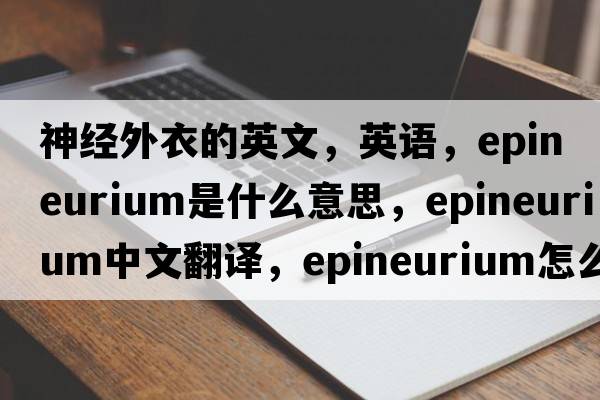 神經外衣的英文，英語，epineurium是什么意思，epineurium中文翻譯，epineurium怎么讀、發(fā)音、用法及例句