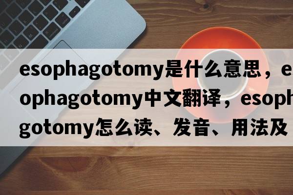 esophagotomy是什么意思，esophagotomy中文翻譯，esophagotomy怎么讀、發(fā)音、用法及例句