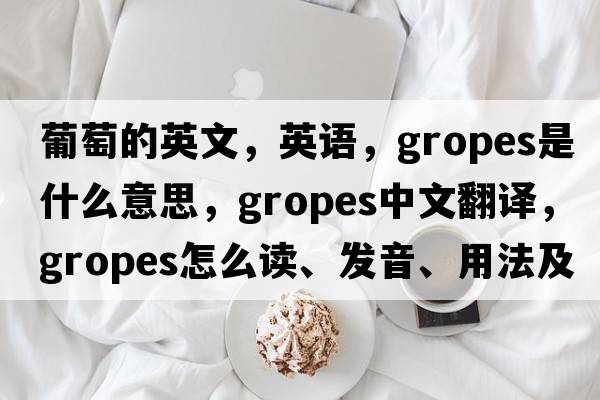 葡萄的英文，英語(yǔ)，gropes是什么意思，gropes中文翻譯，gropes怎么讀、發(fā)音、用法及例句