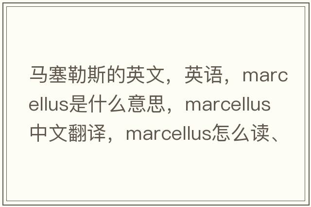 馬塞勒斯的英文，英語，Marcellus是什么意思，Marcellus中文翻譯，Marcellus怎么讀、發(fā)音、用法及例句