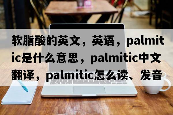 軟脂酸的英文，英語(yǔ)，palmitic是什么意思，palmitic中文翻譯，palmitic怎么讀、發(fā)音、用法及例句