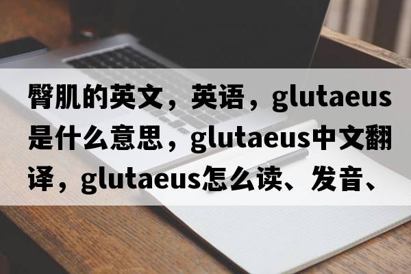 臀肌的英文，英語，glutaeus是什么意思，glutaeus中文翻譯，glutaeus怎么讀、發(fā)音、用法及例句