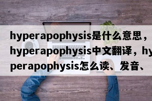 hyperapophysis是什么意思，hyperapophysis中文翻譯，hyperapophysis怎么讀、發(fā)音、用法及例句