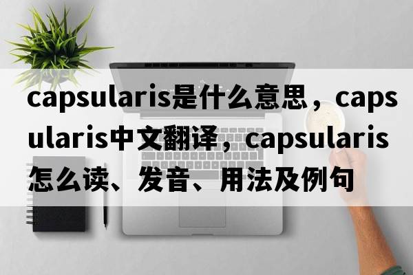 Capsularis是什么意思，Capsularis中文翻譯，Capsularis怎么讀、發(fā)音、用法及例句