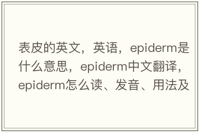 表皮的英文，英語，epiderm是什么意思，epiderm中文翻譯，epiderm怎么讀、發(fā)音、用法及例句