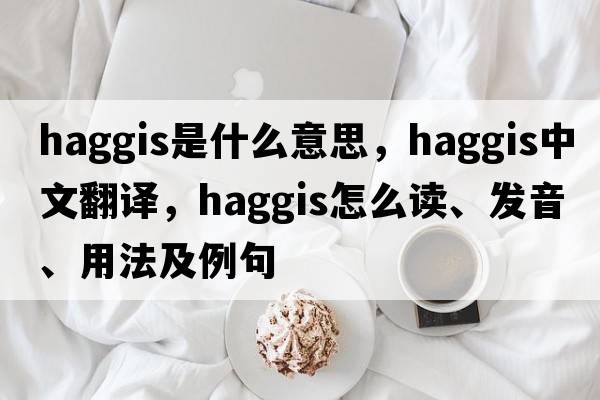 haggis是什么意思，haggis中文翻譯，haggis怎么讀、發(fā)音、用法及例句