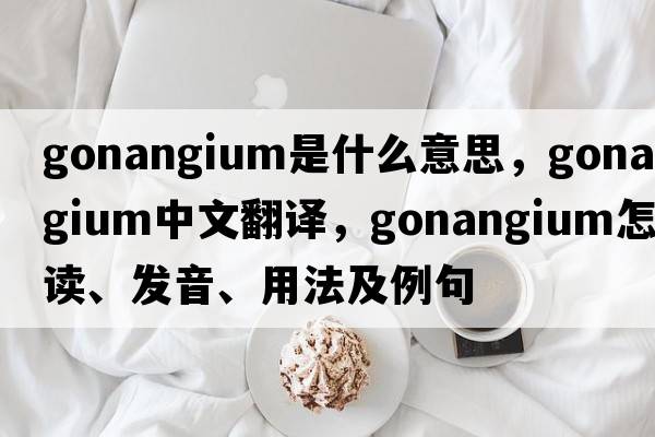 gonangium是什么意思，gonangium中文翻譯，gonangium怎么讀、發(fā)音、用法及例句