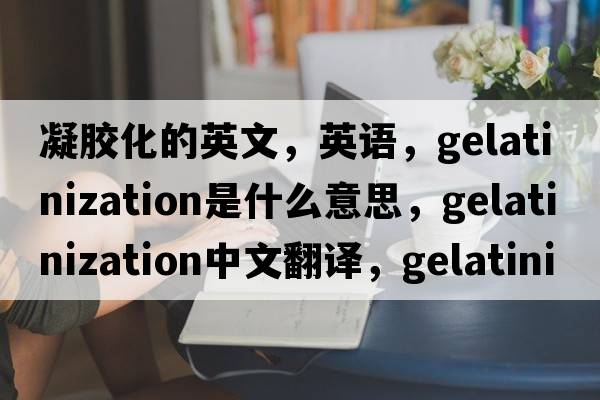 凝膠化的英文，英語，gelatinization是什么意思，gelatinization中文翻譯，gelatinization怎么讀、發(fā)音、用法及例句