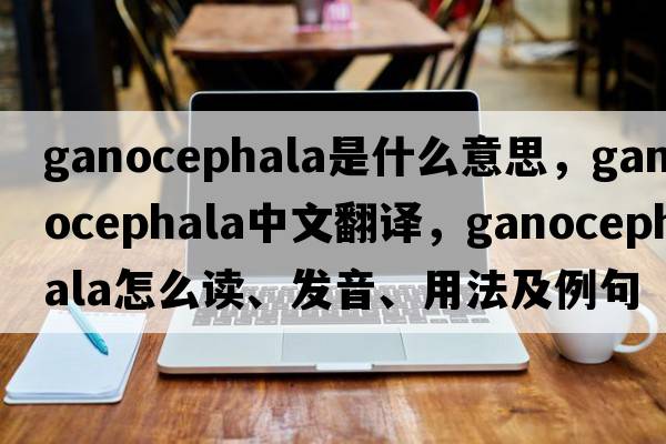 ganocephala是什么意思，ganocephala中文翻譯，ganocephala怎么讀、發(fā)音、用法及例句