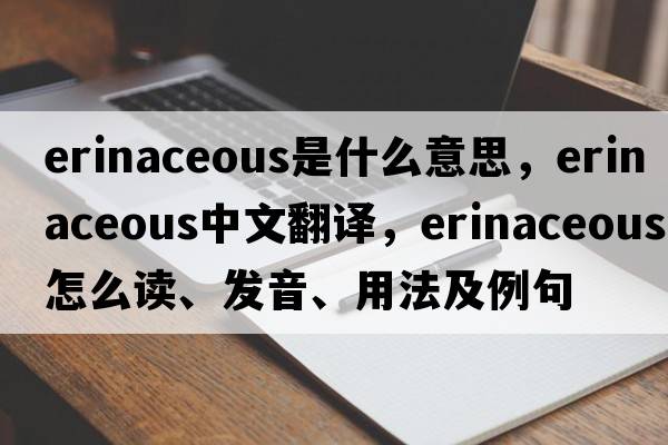 erinaceous是什么意思，erinaceous中文翻譯，erinaceous怎么讀、發(fā)音、用法及例句