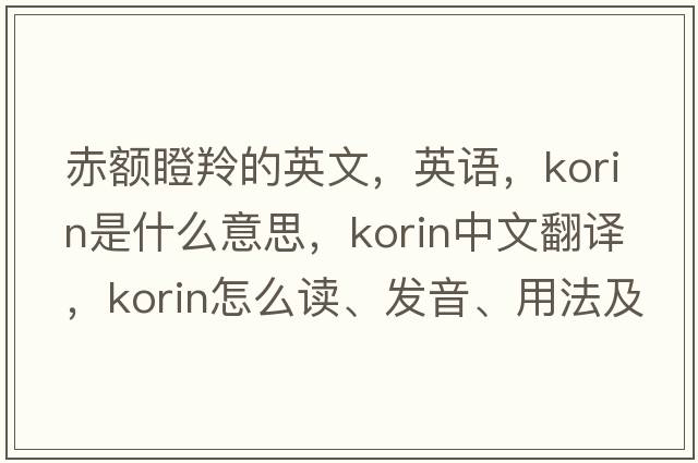 赤額瞪羚的英文，英語，korin是什么意思，korin中文翻譯，korin怎么讀、發(fā)音、用法及例句