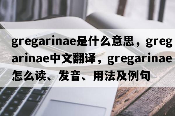 gregarinae是什么意思，gregarinae中文翻譯，gregarinae怎么讀、發(fā)音、用法及例句