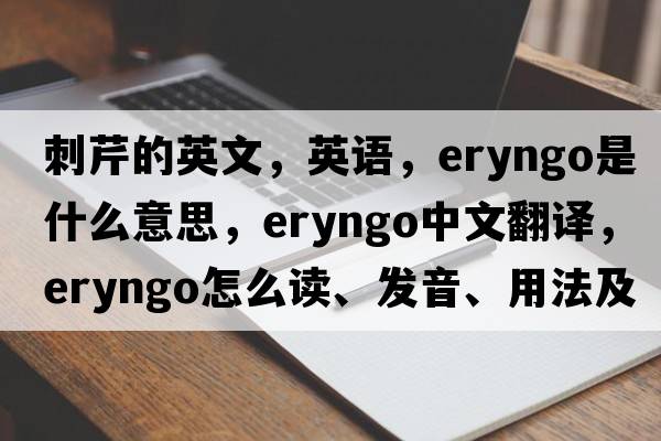 刺芹的英文，英語，eryngo是什么意思，eryngo中文翻譯，eryngo怎么讀、發(fā)音、用法及例句