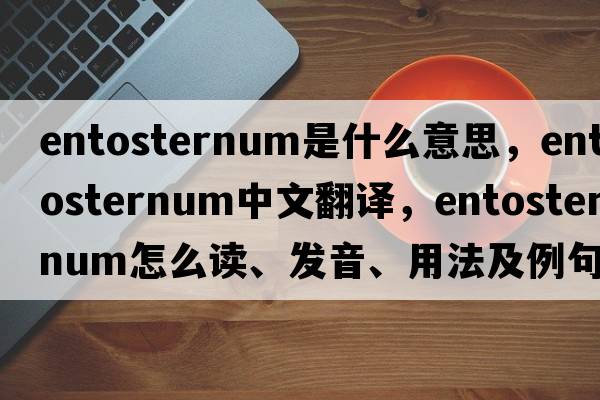 entosternum是什么意思，entosternum中文翻譯，entosternum怎么讀、發(fā)音、用法及例句