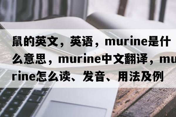 鼠的英文，英語，murine是什么意思，murine中文翻譯，murine怎么讀、發(fā)音、用法及例句