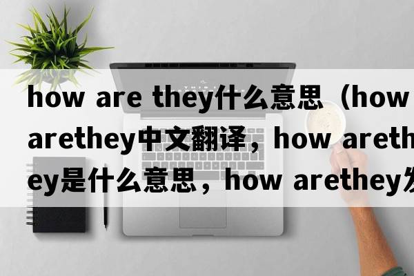 how are they什么意思（how arethey中文翻譯，how arethey是什么意思，how arethey發(fā)音、用法及例句）