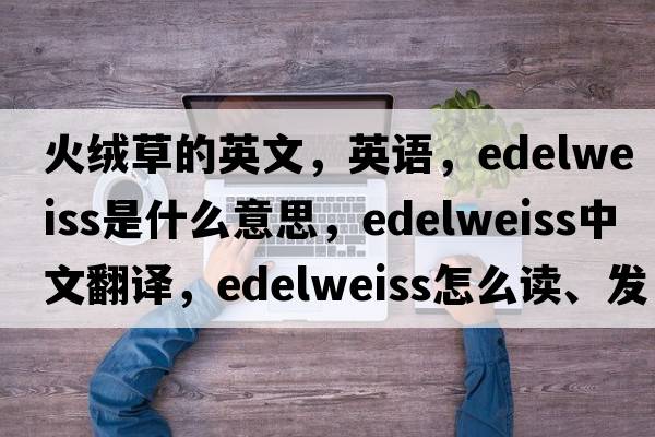 火絨草的英文，英語，edelweiss是什么意思，edelweiss中文翻譯，edelweiss怎么讀、發(fā)音、用法及例句