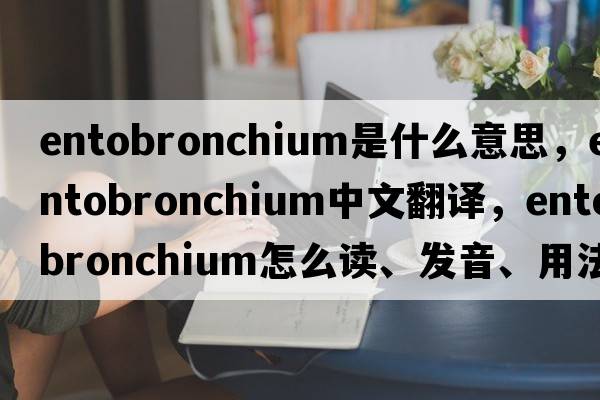 entobronchium是什么意思，entobronchium中文翻譯，entobronchium怎么讀、發(fā)音、用法及例句