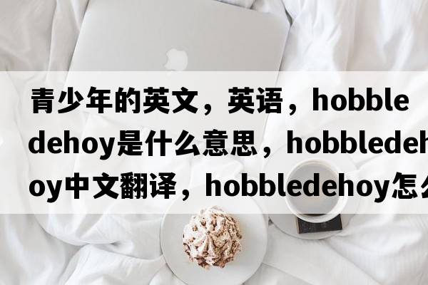 青少年的英文，英語(yǔ)，hobbledehoy是什么意思，hobbledehoy中文翻譯，hobbledehoy怎么讀、發(fā)音、用法及例句