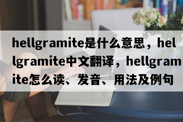 hellgramite是什么意思，hellgramite中文翻譯，hellgramite怎么讀、發(fā)音、用法及例句