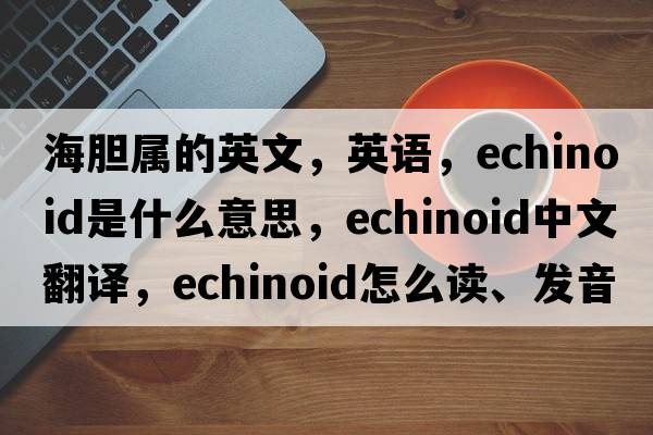海膽屬的英文，英語，echinoid是什么意思，echinoid中文翻譯，echinoid怎么讀、發(fā)音、用法及例句