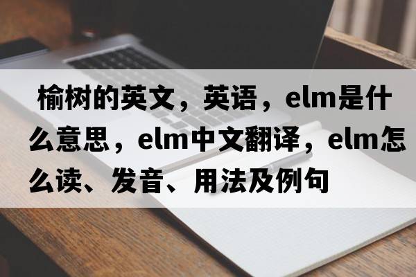  榆樹的英文，英語(yǔ)，elm是什么意思，elm中文翻譯，elm怎么讀、發(fā)音、用法及例句