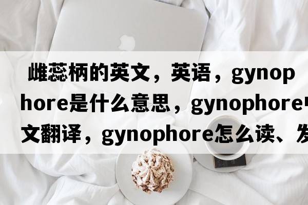  雌蕊柄的英文，英語，gynophore是什么意思，gynophore中文翻譯，gynophore怎么讀、發(fā)音、用法及例句