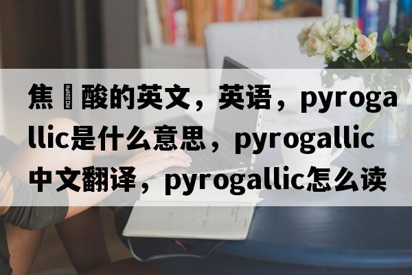 焦棓酸的英文，英語，pyrogallic是什么意思，pyrogallic中文翻譯，pyrogallic怎么讀、發(fā)音、用法及例句