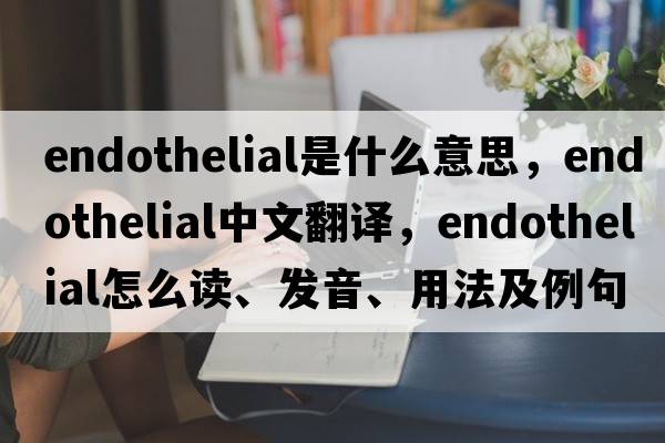 endothelial是什么意思，endothelial中文翻譯，endothelial怎么讀、發(fā)音、用法及例句