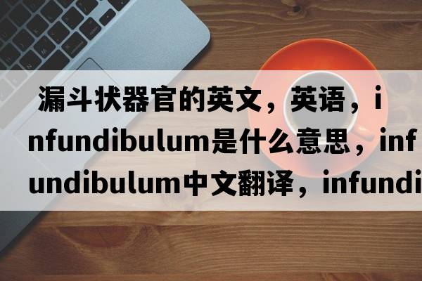  漏斗狀器官的英文，英語，infundibulum是什么意思，infundibulum中文翻譯，infundibulum怎么讀、發(fā)音、用法及例句