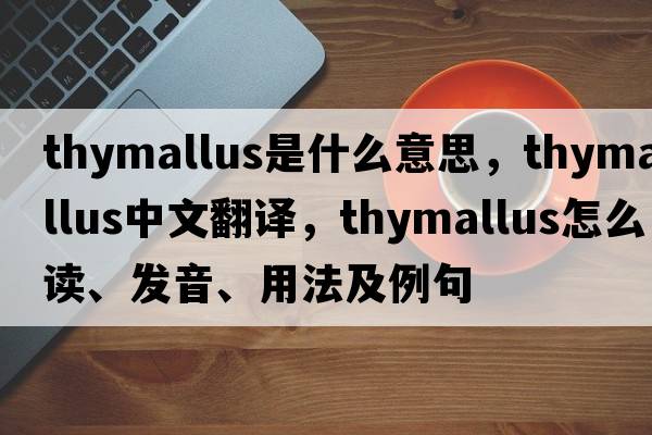 Thymallus是什么意思，Thymallus中文翻譯，Thymallus怎么讀、發(fā)音、用法及例句