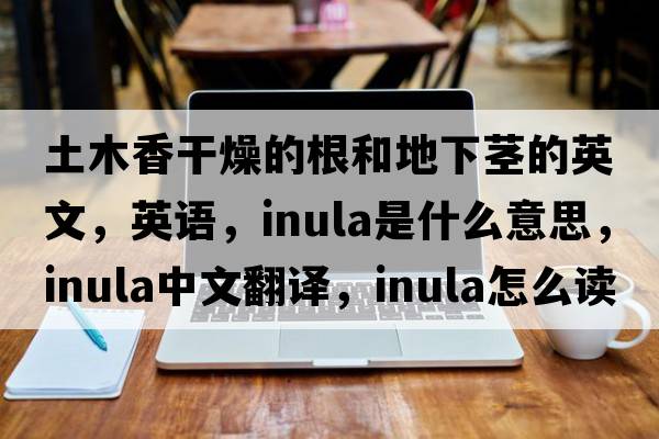 土木香干燥的根和地下莖的英文，英語，inula是什么意思，inula中文翻譯，inula怎么讀、發(fā)音、用法及例句