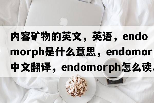 內(nèi)容礦物的英文，英語，endomorph是什么意思，endomorph中文翻譯，endomorph怎么讀、發(fā)音、用法及例句