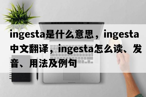 ingesta是什么意思，ingesta中文翻譯，ingesta怎么讀、發(fā)音、用法及例句