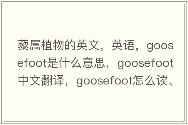 藜屬植物的英文，英語，goosefoot是什么意思，goosefoot中文翻譯，goosefoot怎么讀、發(fā)音、用法及例句