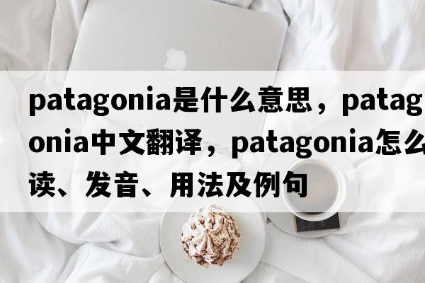 Patagonia是什么意思，Patagonia中文翻譯，Patagonia怎么讀、發(fā)音、用法及例句