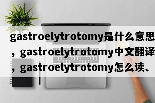 gastroelytrotomy是什么意思，gastroelytrotomy中文翻譯，gastroelytrotomy怎么讀、發(fā)音、用法及例句