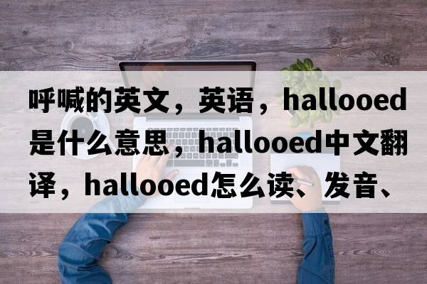 呼喊的英文，英語，hallooed是什么意思，hallooed中文翻譯，hallooed怎么讀、發(fā)音、用法及例句