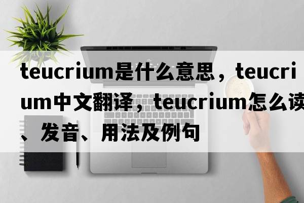 Teucrium是什么意思，Teucrium中文翻譯，Teucrium怎么讀、發(fā)音、用法及例句