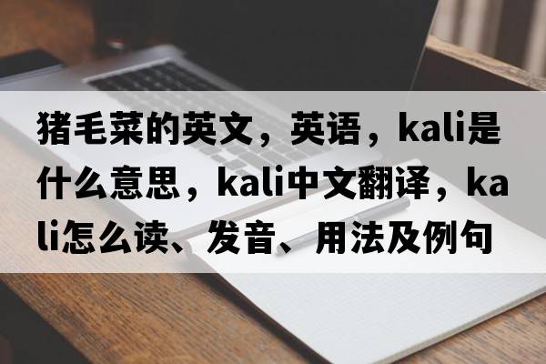 豬毛菜的英文，英語(yǔ)，kali是什么意思，kali中文翻譯，kali怎么讀、發(fā)音、用法及例句