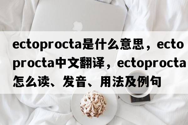 Ectoprocta是什么意思，Ectoprocta中文翻譯，Ectoprocta怎么讀、發(fā)音、用法及例句