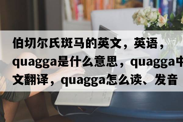 伯切爾氏斑馬的英文，英語，quagga是什么意思，quagga中文翻譯，quagga怎么讀、發(fā)音、用法及例句