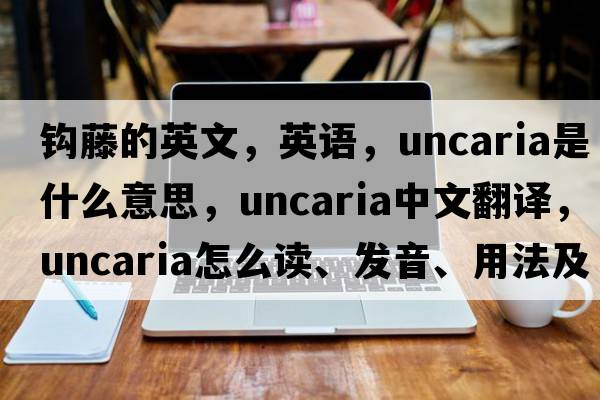 鉤藤的英文，英語，uncaria是什么意思，uncaria中文翻譯，uncaria怎么讀、發(fā)音、用法及例句