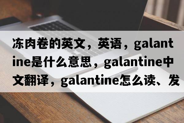 凍肉卷的英文，英語，galantine是什么意思，galantine中文翻譯，galantine怎么讀、發(fā)音、用法及例句