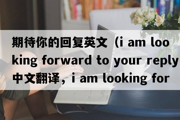 期待你的回復(fù)英文（i am looking forward to your reply中文翻譯，i am looking forward to your reply是什么意思，i am looking