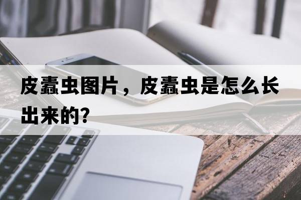 皮蠹蟲圖片，皮蠹蟲是怎么長出來的？