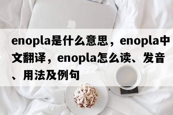 Enopla是什么意思，Enopla中文翻譯，Enopla怎么讀、發(fā)音、用法及例句