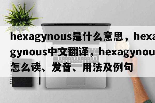 hexagynous是什么意思，hexagynous中文翻譯，hexagynous怎么讀、發(fā)音、用法及例句