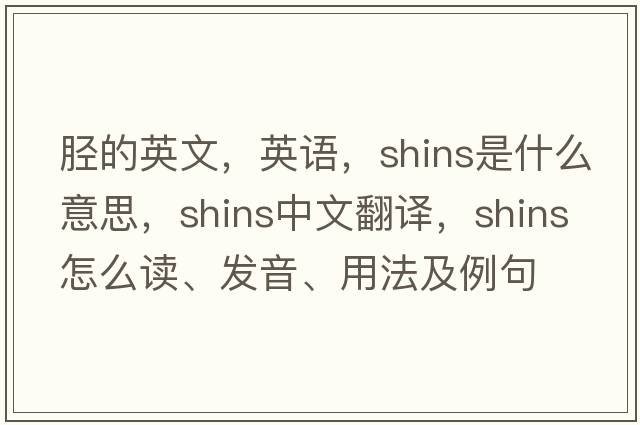 脛的英文，英語，shins是什么意思，shins中文翻譯，shins怎么讀、發(fā)音、用法及例句