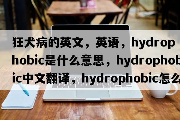 狂犬病的英文，英語，hydrophobic是什么意思，hydrophobic中文翻譯，hydrophobic怎么讀、發(fā)音、用法及例句